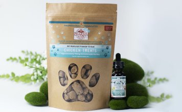 {{brizy_dc_image_alt imageSrc=