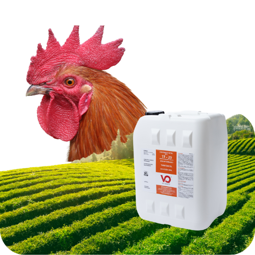 {{brizy_dc_image_alt imageSrc=